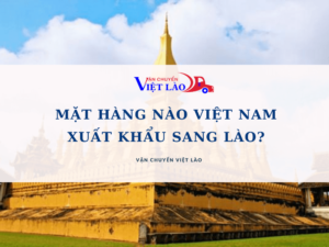 mat-hang-nao-viet-nam-xuat-khau-sang-lao-vanchuyenvietlao