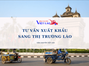 tu-van-xuat-khau-sang-thi-truong-lao-vanchuyenvietlao